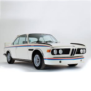 BMW CSL Roll Cages