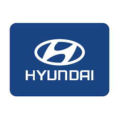 Hyundai Roll Cages
