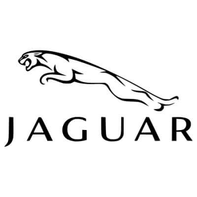 Jaguar Roll Cages